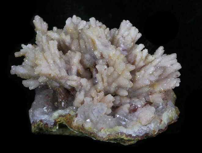 Druzy Quartz Stalactite Formation - Morocco #33531